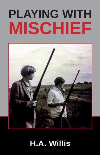 Cover image for Playing with Mischief