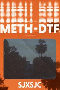 Cover image for Meth-DTF.