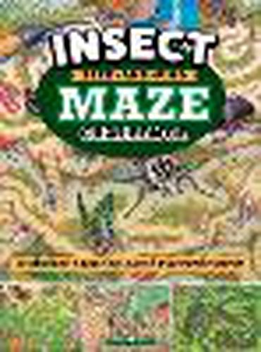 Insect Seek and Find Maze Challenge