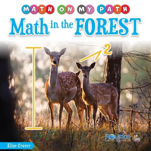 Cover image for Math in the Forest