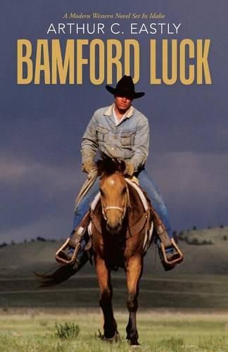 Cover image for Bamford Luck