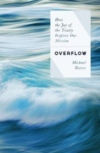 Cover image for Overflow