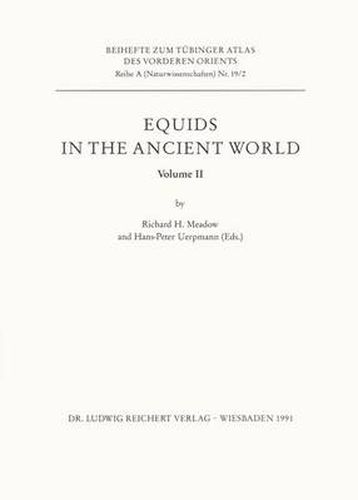 Cover image for Equids in the Ancient World