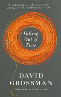 Cover image for Falling Out of Time