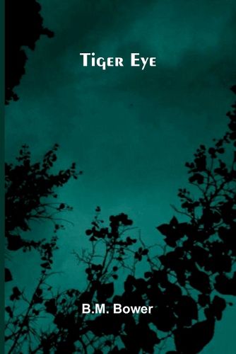 Cover image for The Magic Christian (Edition1)