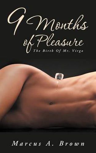 Cover image for 9 Months of Pleasure