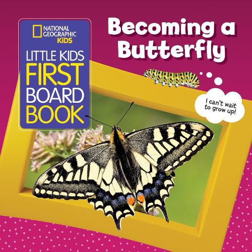 Cover image for Becoming a Butterfly