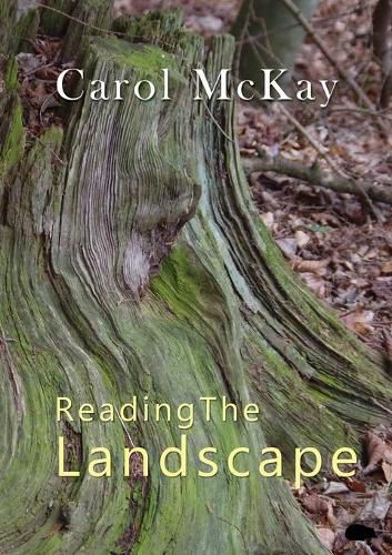 Cover image for Reading The Landscape