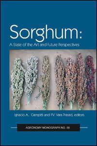 Cover image for Sorghum: State of the Art and Future Perspectives