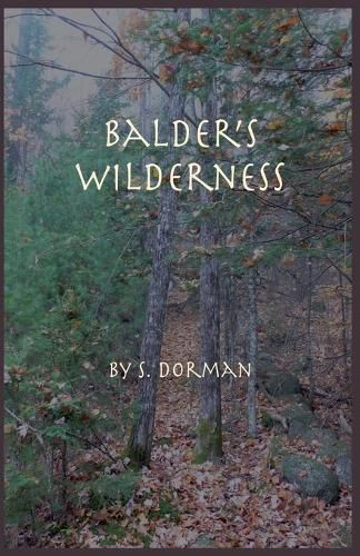 Cover image for Balder's Wilderness