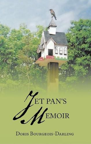 Cover image for Jet Pan's Memoir