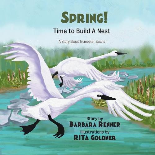 Cover image for SPRING! Time to Build a Nest, A Story about Trumpeter Swans