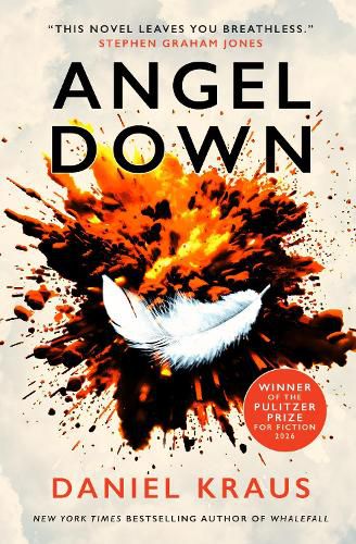 Cover image for Angel Down