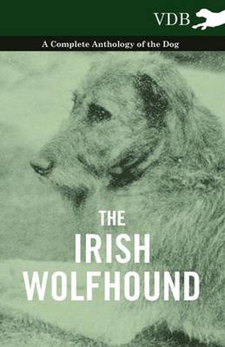 Cover image for The Irish Wolfhound - A Complete Anthology of the Dog