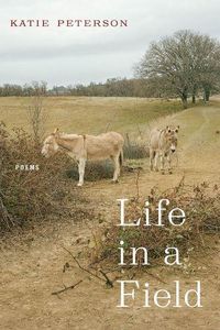 Cover image for Life in a Field - Poems