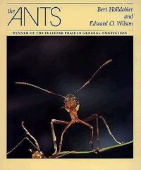 Cover image for The Ants