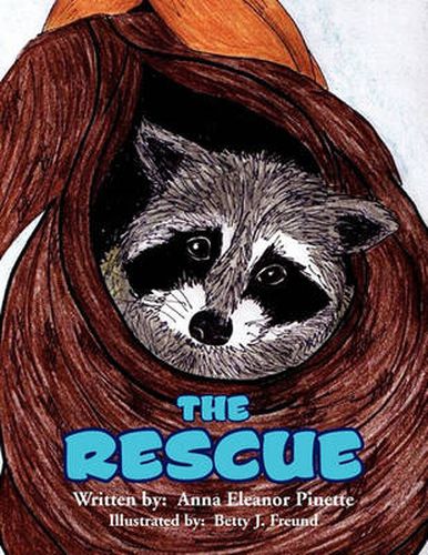 Cover image for The Rescue