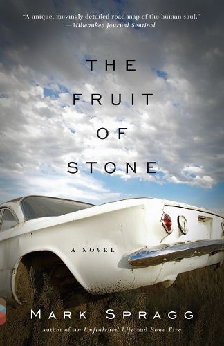 Cover image for The Fruit of Stone