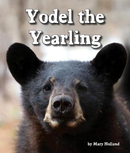 Cover image for Yodel the Yearling