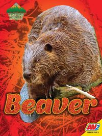 Cover image for Beaver