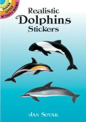 Cover image for Realistic Dolphins Stickers