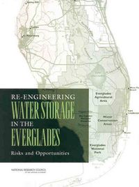 Cover image for Re-Engineering Water Storage in the Everglades: Risks and Opportunities