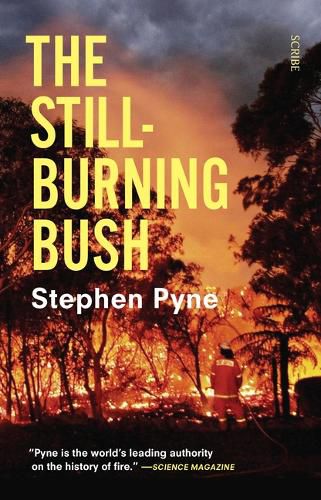 Cover image for The Still-Burning Bush