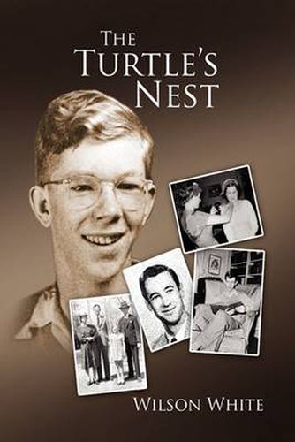 Cover image for The Turtle's Nest