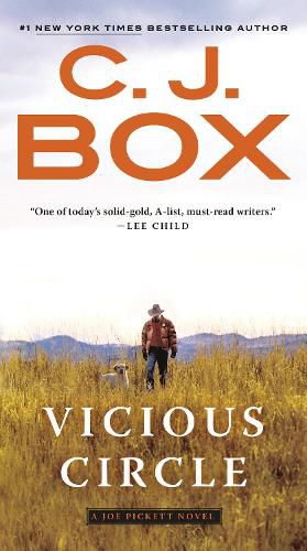 Cover image for Vicious Circle