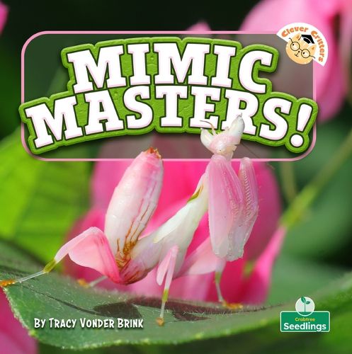 Cover image for Mimic Masters!