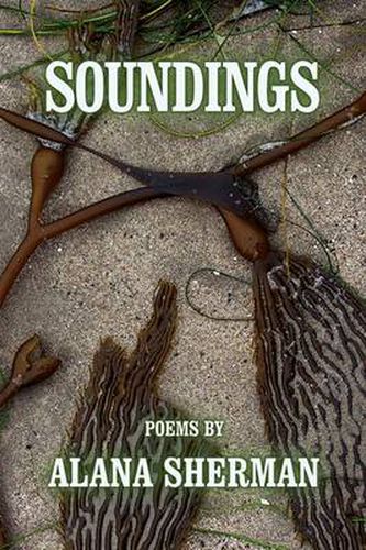 Cover image for Soundings