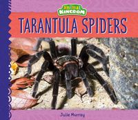 Cover image for Tarantula Spiders