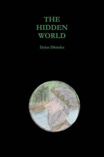 Cover image for The Hidden World