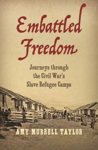 Cover image for Embattled Freedom: Journeys through the Civil War's Slave Refugee Camps