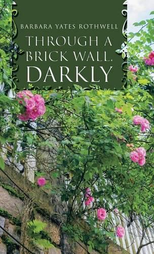 Cover image for Through a Brick Wall, Darkly