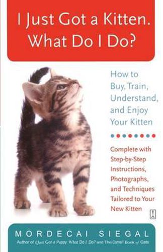 Cover image for I Just Got a Kitten. What Do I Do?: How to Buy, Train, Understand, and Enjoy Your Kitten