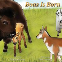 Cover image for Boaz Is Born