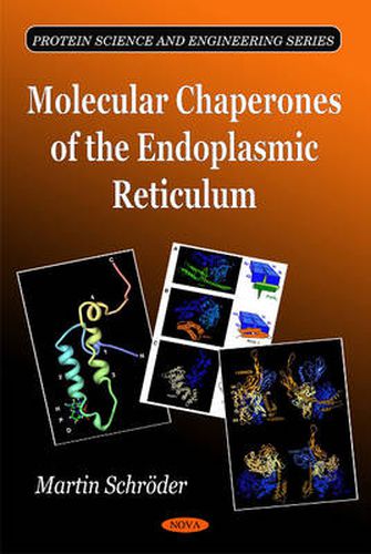 Cover image for Molecular Chaperones of the Endoplasmic Reticulum