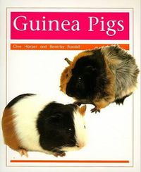 Cover image for Pets: Guinea Pigs: Individual Student Edition Orange (Levels 15-16)