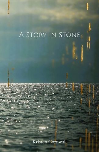 Cover image for A Story in Stone