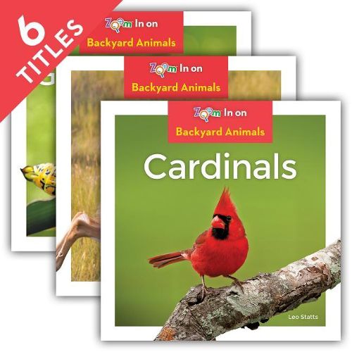 Cover image for Backyard Animals