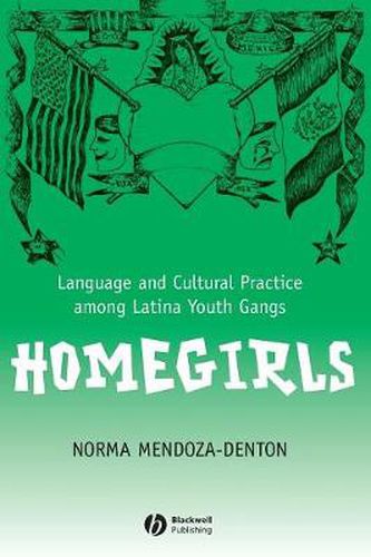 Cover image for Homegirls: Language and Cultural Practice Among Latina Youth Gangs