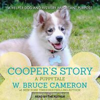 Cover image for Cooper's Story: A Puppy Tale