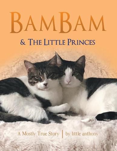 Cover image for Bambam & the Little Princes: A Mostly True Story