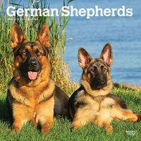 Cover image for German Shepherds 2024 Square
