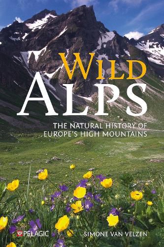 Cover image for Wild Alps