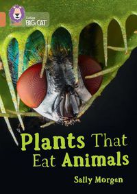 Cover image for Plants that Eat Animals: Band 12/Copper