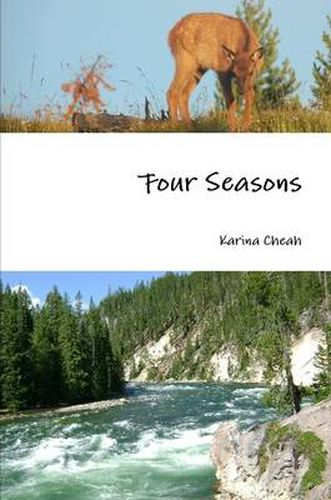 Cover image for Four Seasons