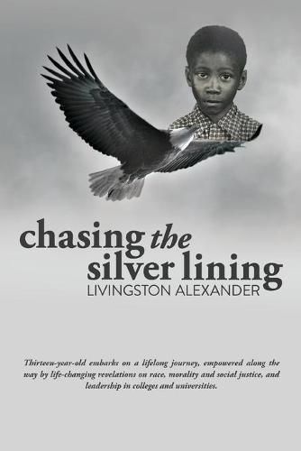 Cover image for Chasing the Silver Lining