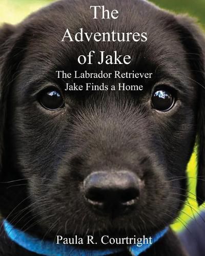 Cover image for The Adventure of Jake the Labrador Retriever: Jake Finds a Home